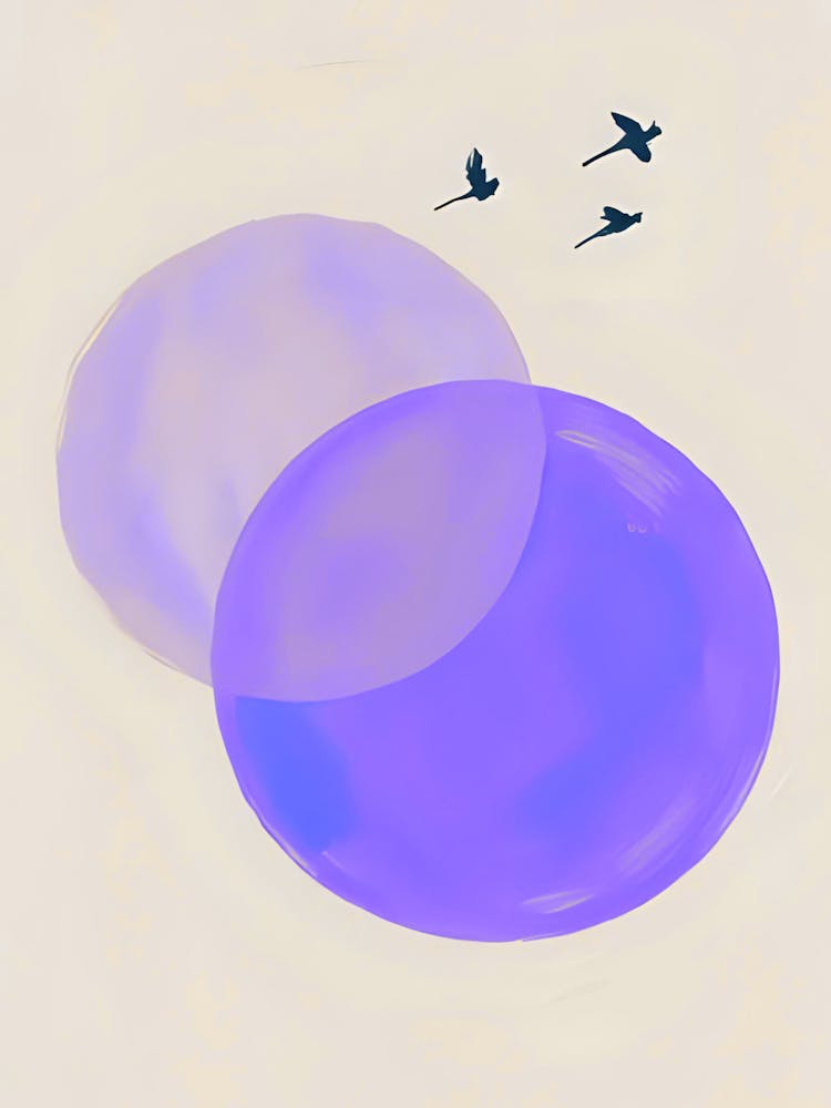 Birds And Spheres