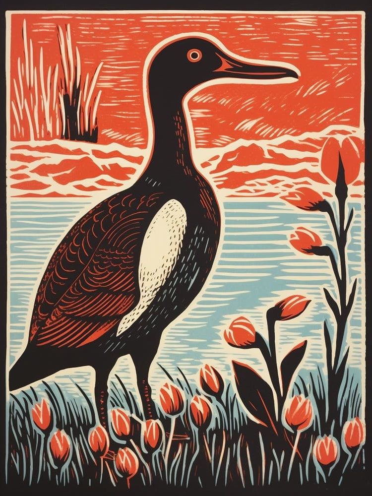 Vintage Bird Linocut Canvasback 1