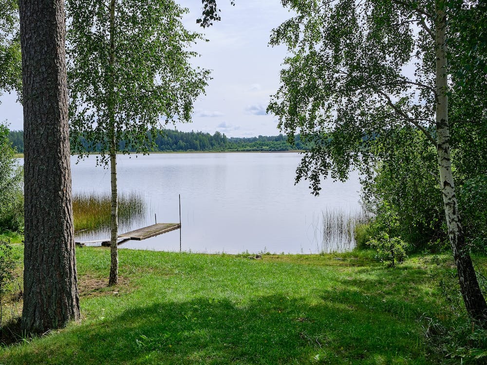 Swedish Lake