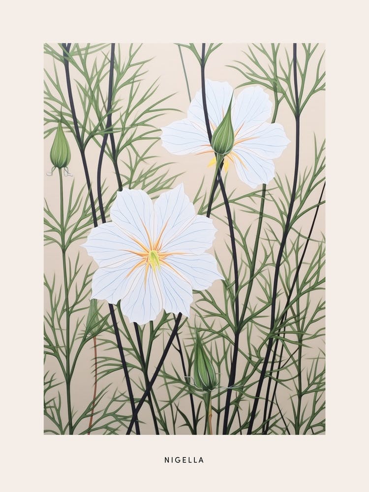 Flower Illustration Love In A Mist Nigella 5 Poster