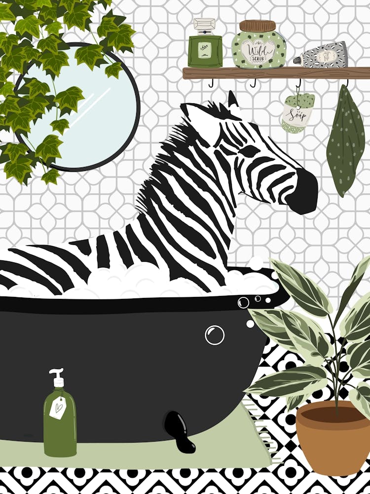 Zebra in der Badewanne Schwarz und Weiß