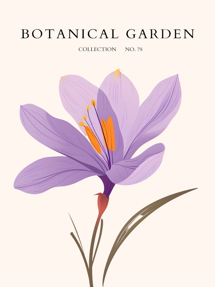 Botanical Garden 41