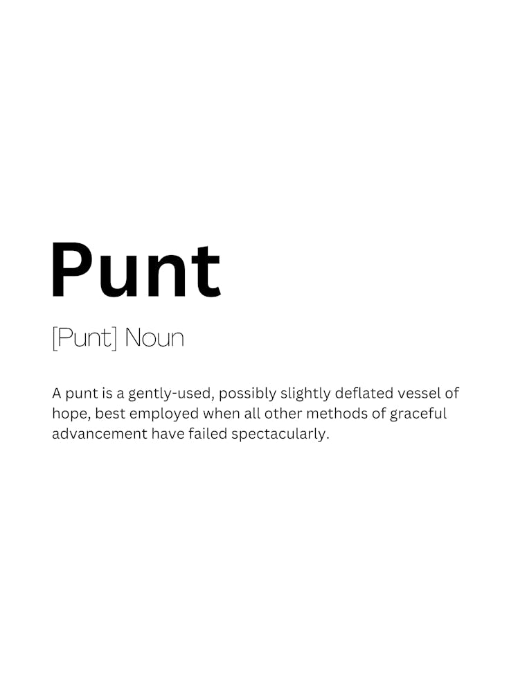 Punt Definition Meaning