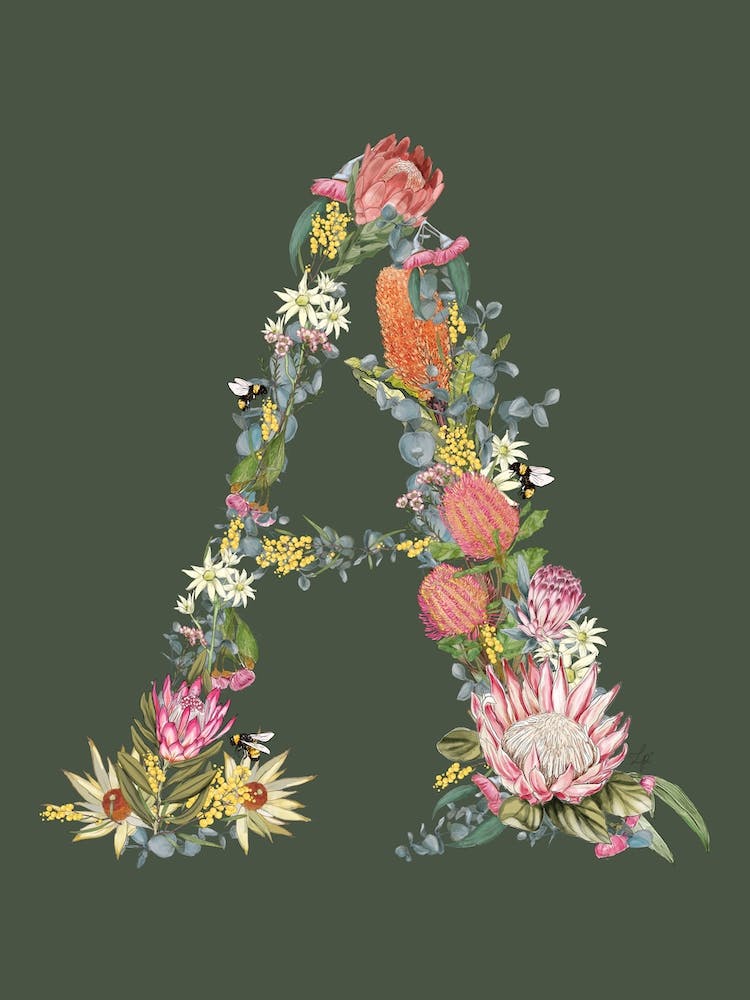 A Olive Alphabet Letter