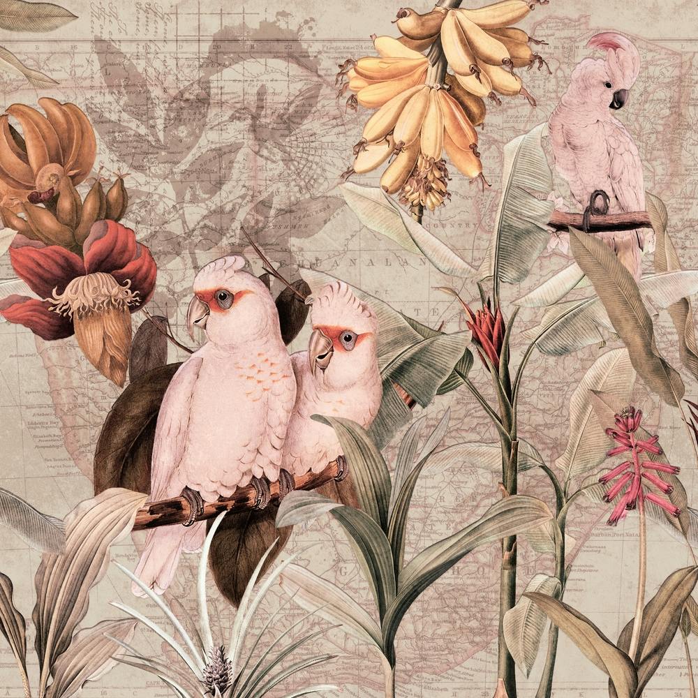 Tropical Birds In Banana Jungle