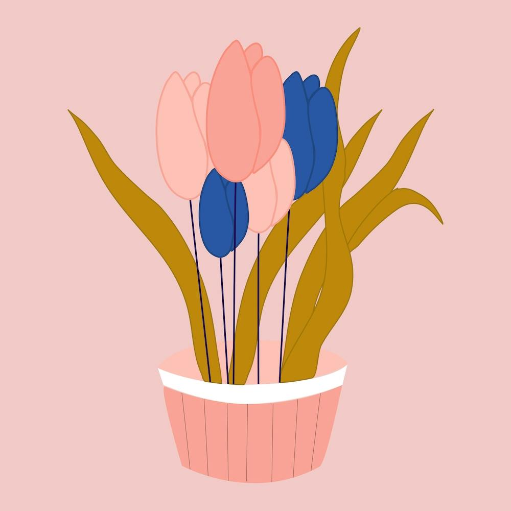 Pink And Blue Tulips In A Pot 2