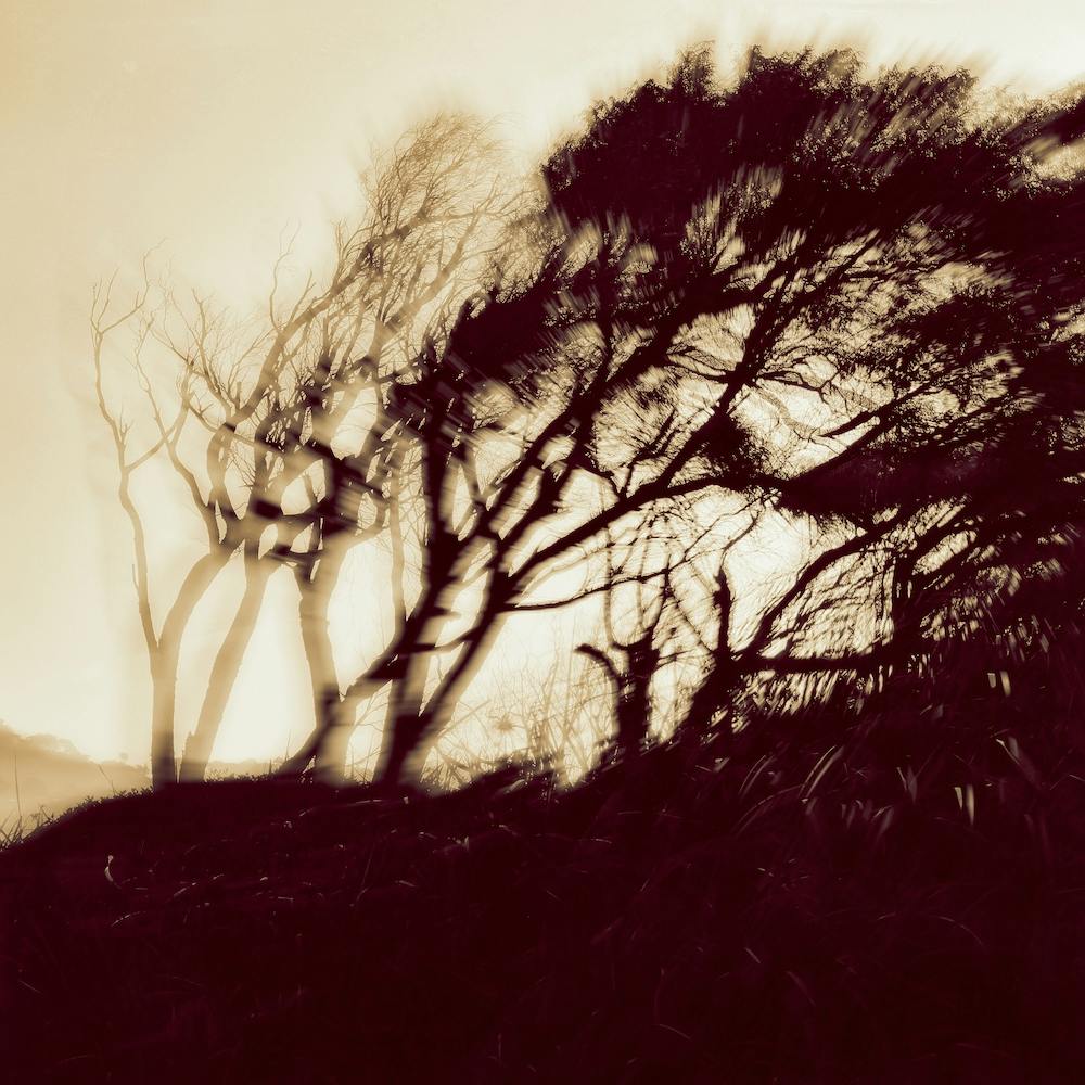 Viento Square