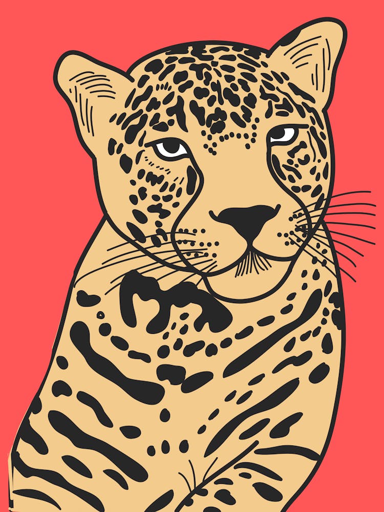 Leopard 18