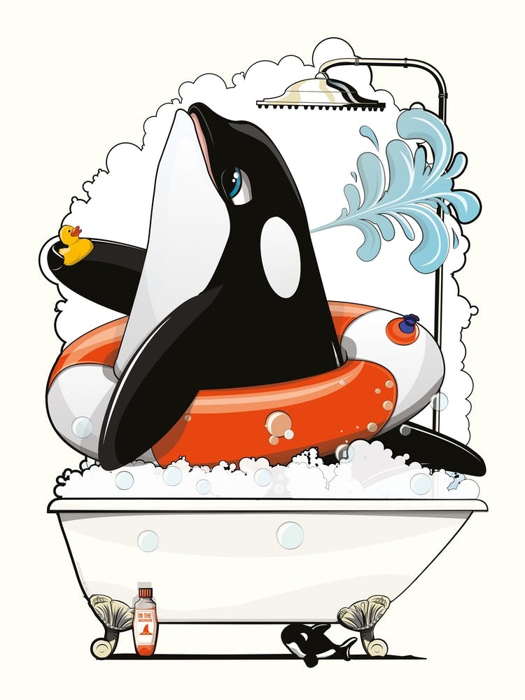 Sea Life Orca In The Bath