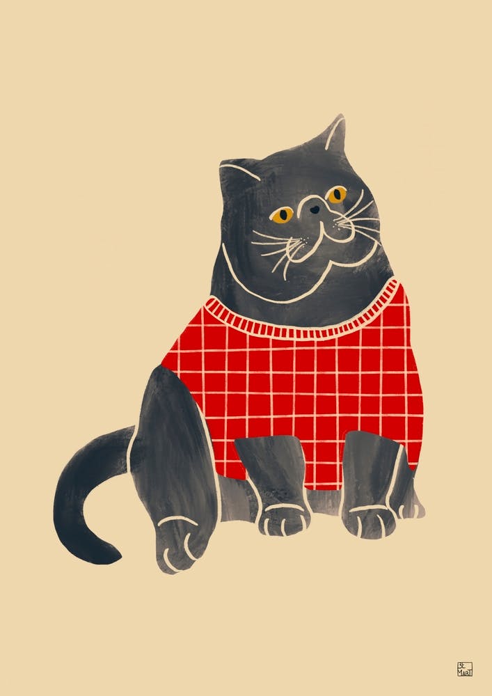 Cat With Red Sweater