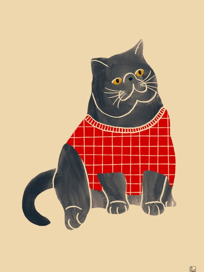 Cat With Red Sweater