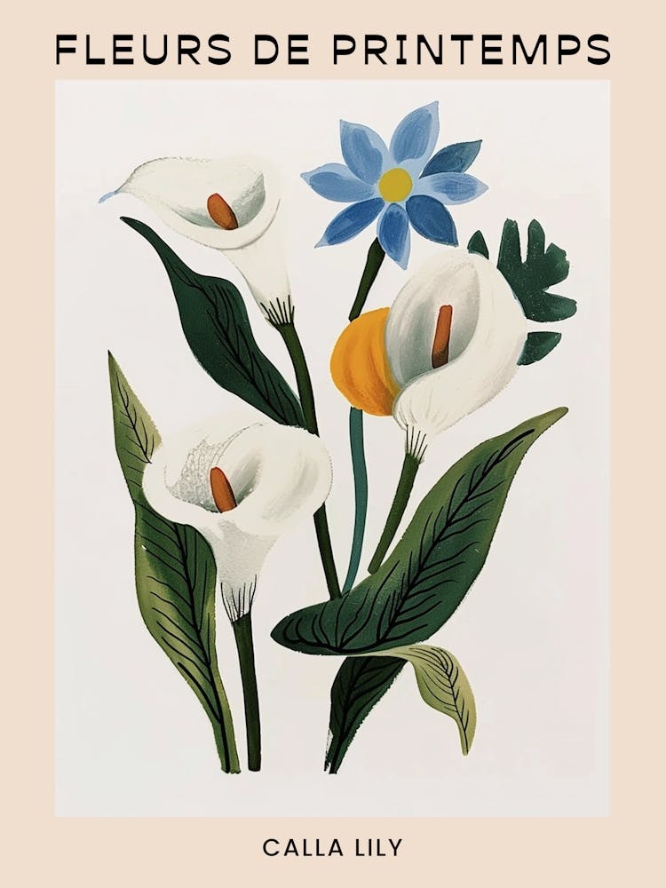 Spring Floral French Poster  Calla Lily 2