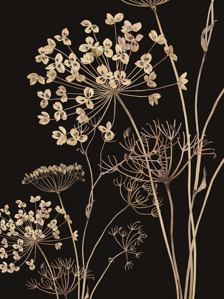 Wildflowers 10
