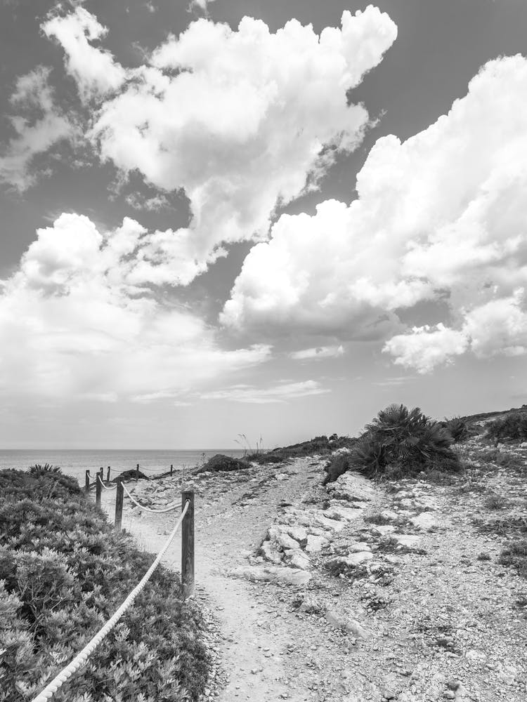 Path To The Sea, Black and White