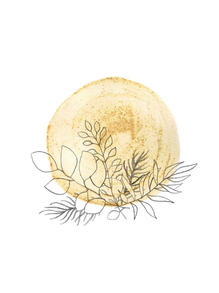 Mustard sun and plants