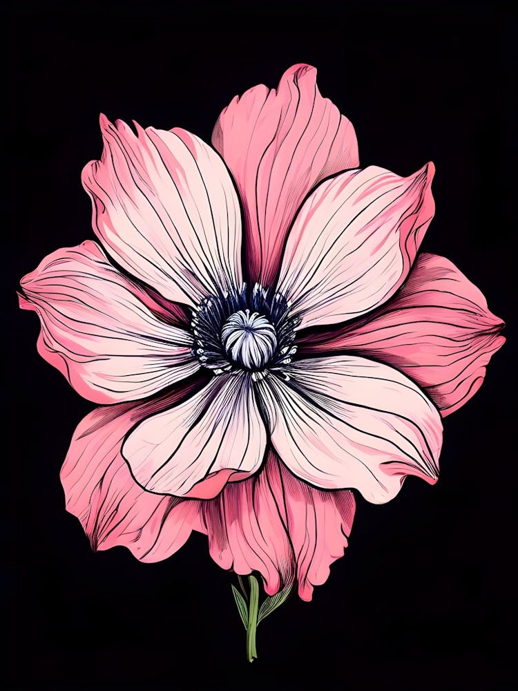 Rosa Blume 10