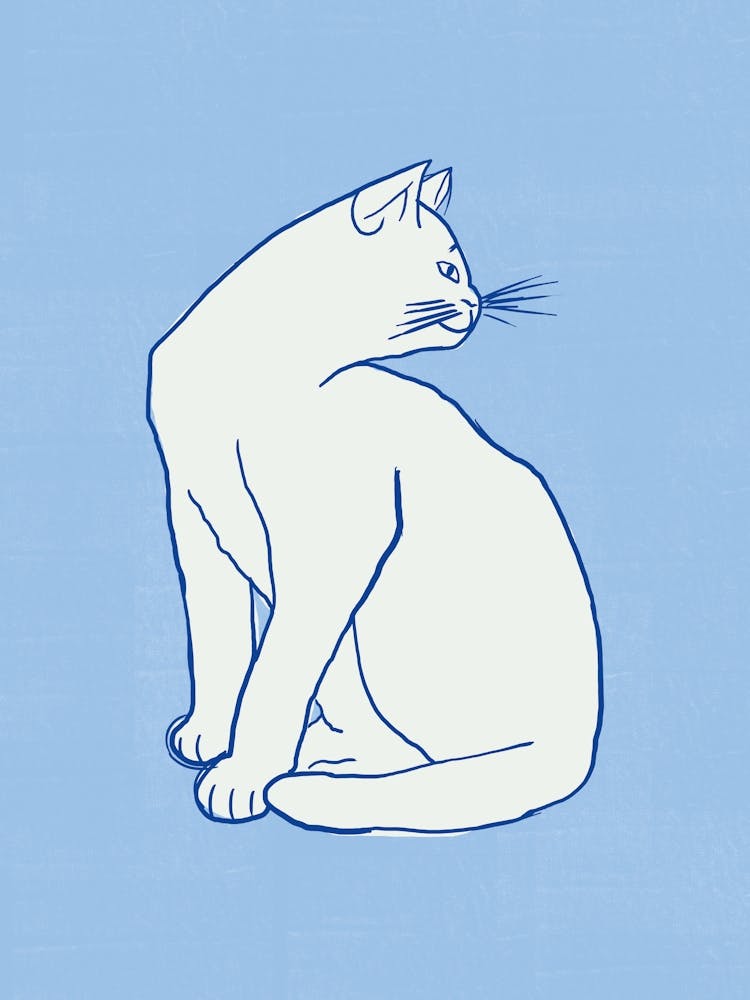 Cat Sitting On A Blue Background 1