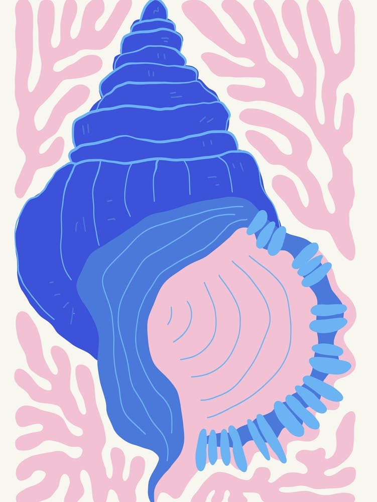 Seashell Ocean Collection Boho