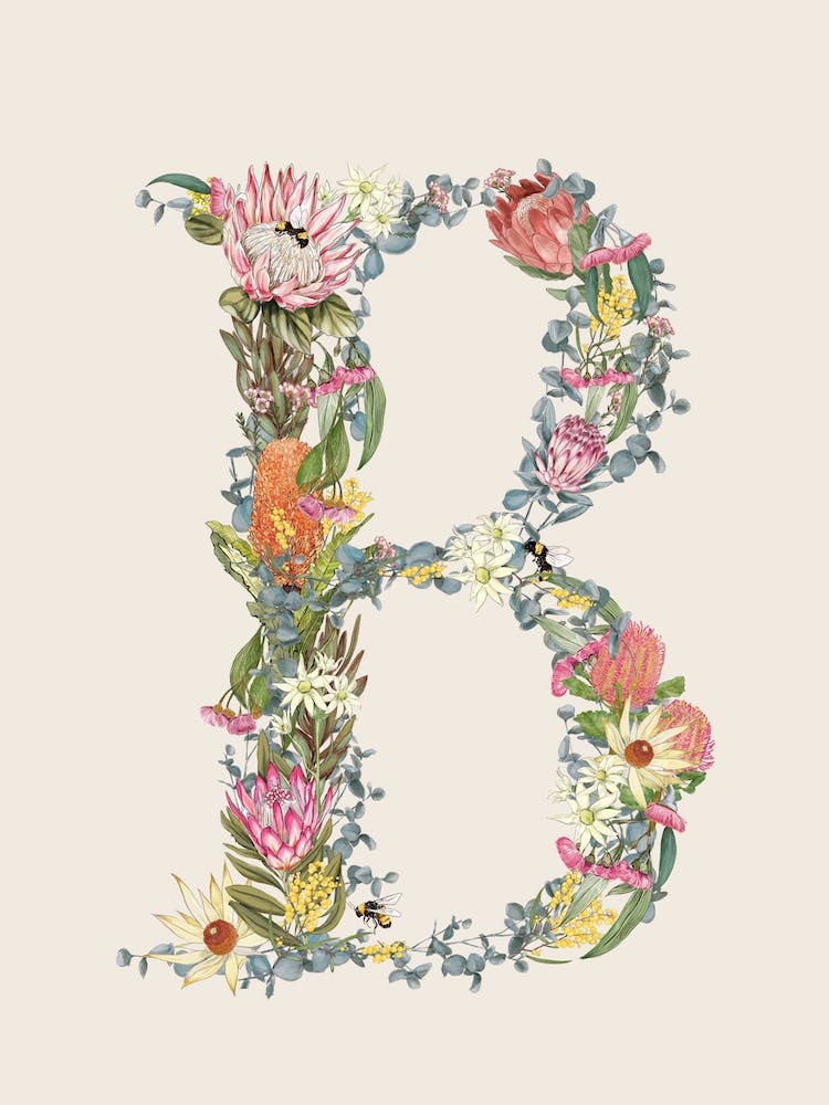 B Oat Alphabet Letter