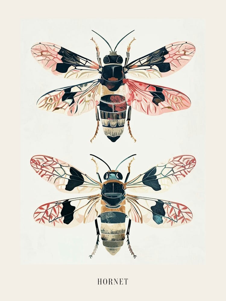 Colourful Insect Illustration Hornet 2 Poster