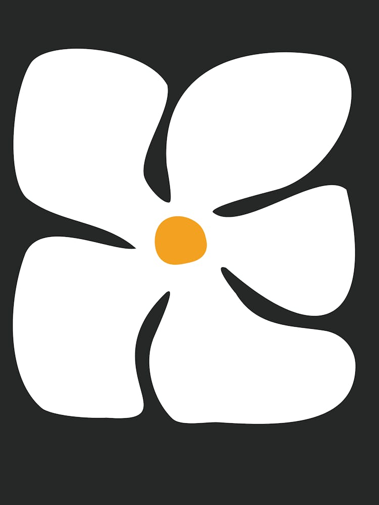 Fleur Blanche