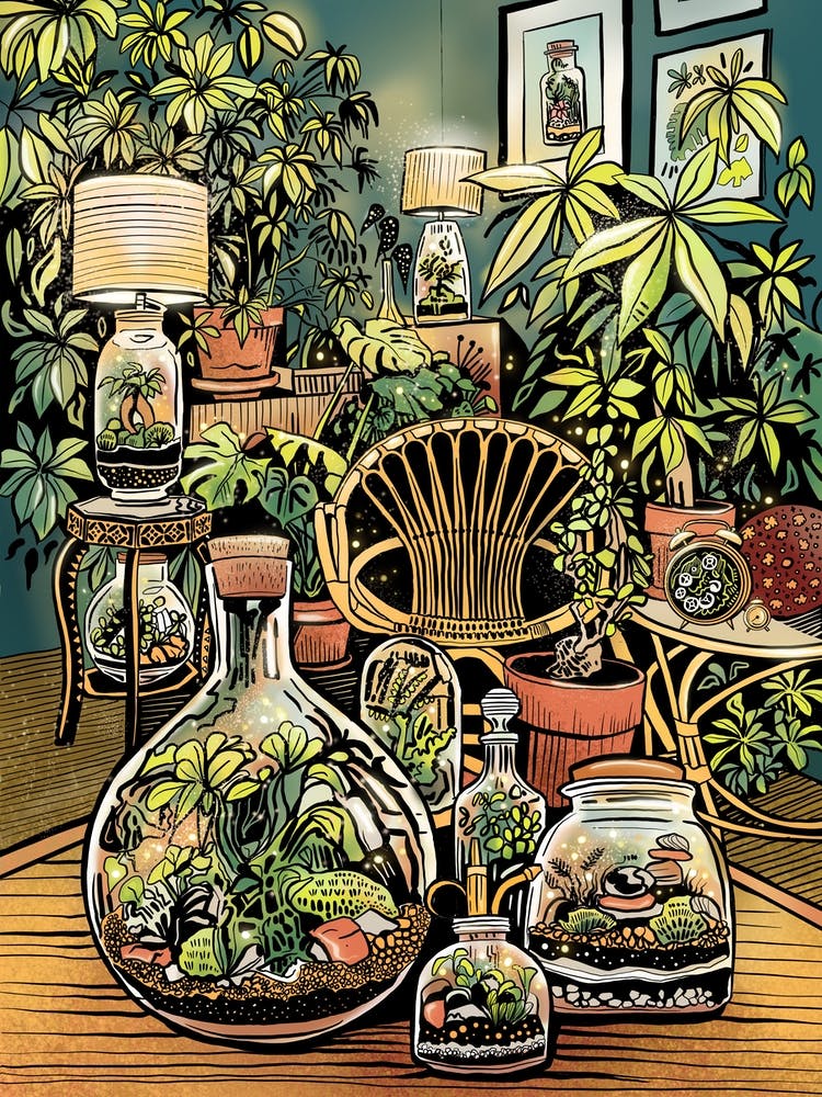 Indoor Terrarium-Garten