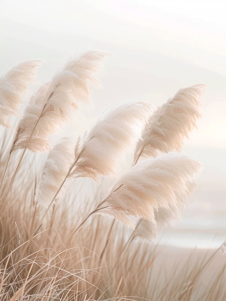 Pampas Grass Poetry