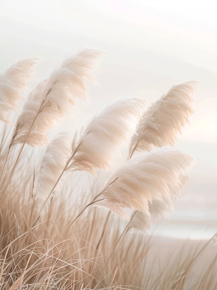 Pampas Grass Poetry