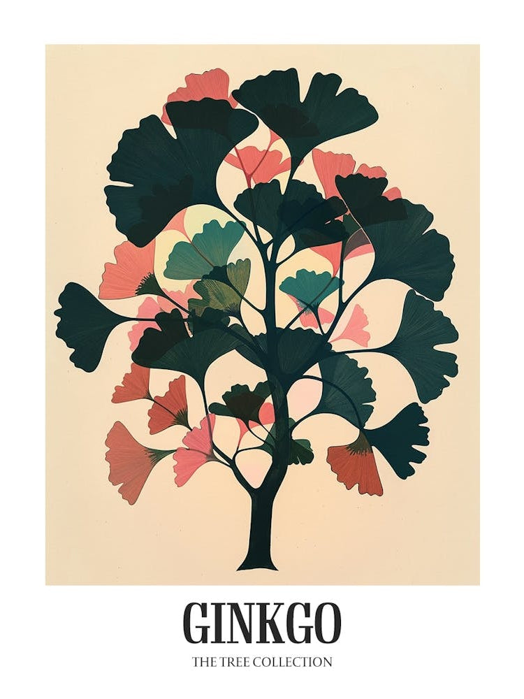 Ginkgo Tree Colourful Illustration 4 Poster