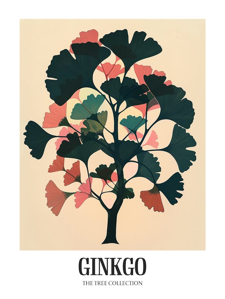 Ginkgo Tree Colourful Illustration 4 Poster