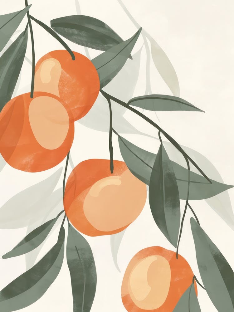 Apricot Close Up Illustration 2