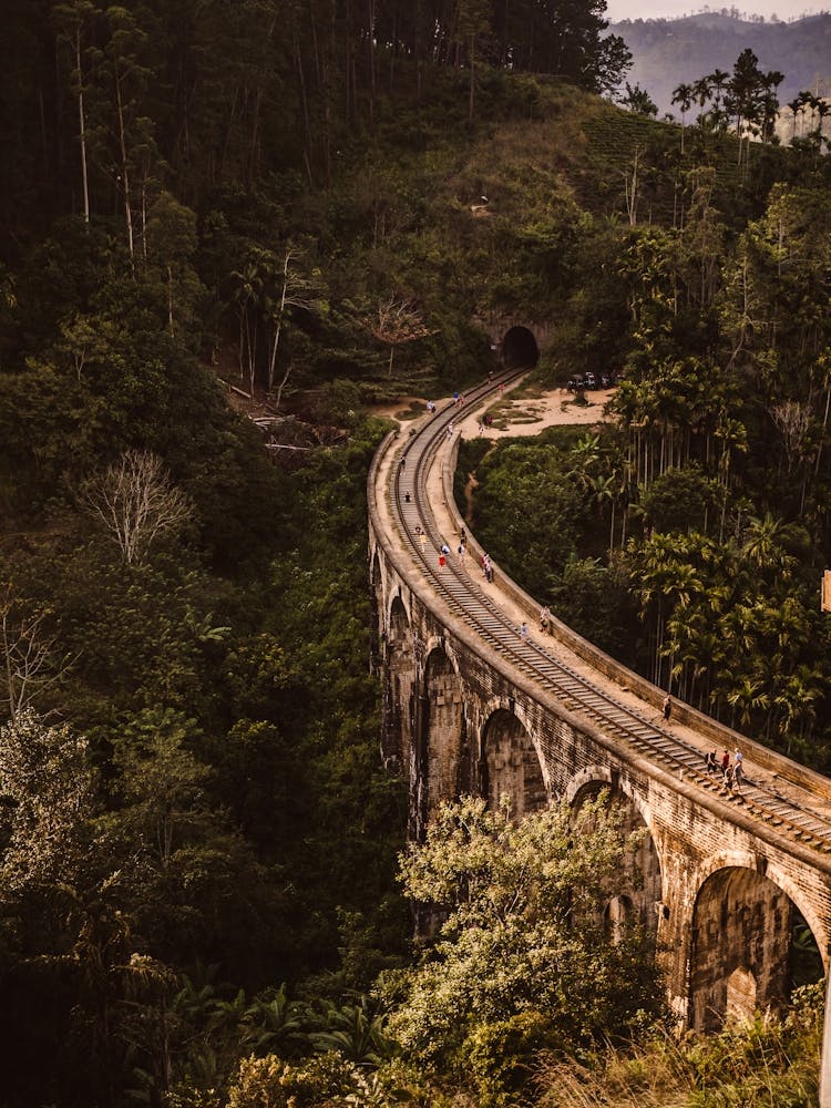 Sri Lanka Railway Bridge