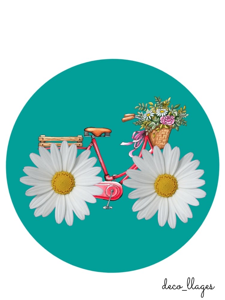 Vélo fleur