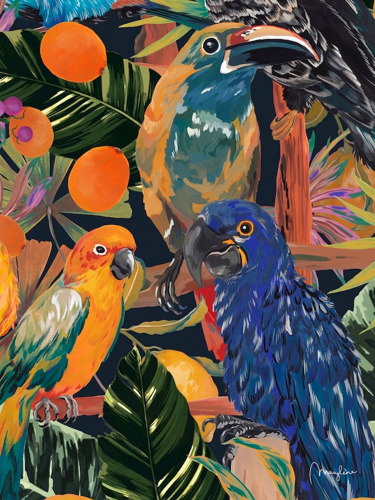 Tropical Jungle Birds