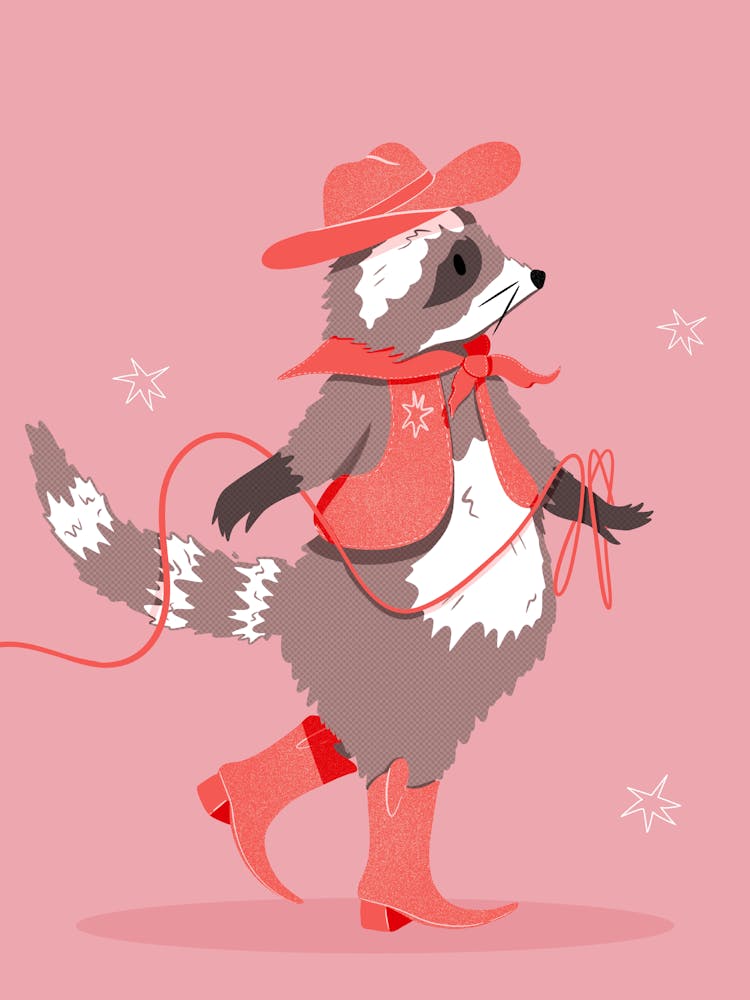 Cowboy Raccoon