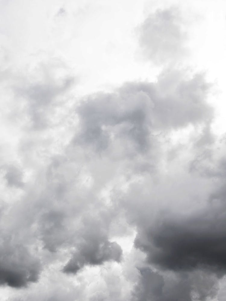 Head In The Clouds