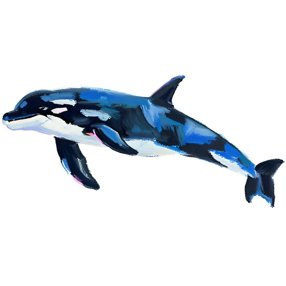 Orca Whale 05