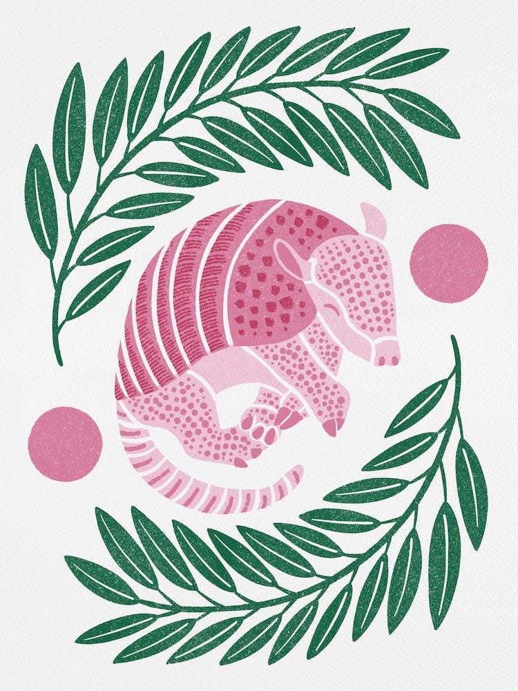 Armadillo   Pink And Green