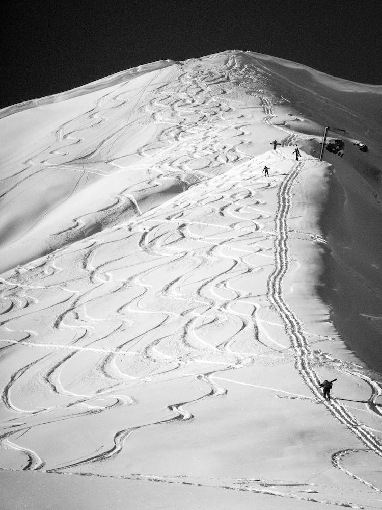 Ski Tracks In The Snow