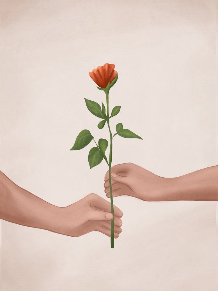A Rose For You
