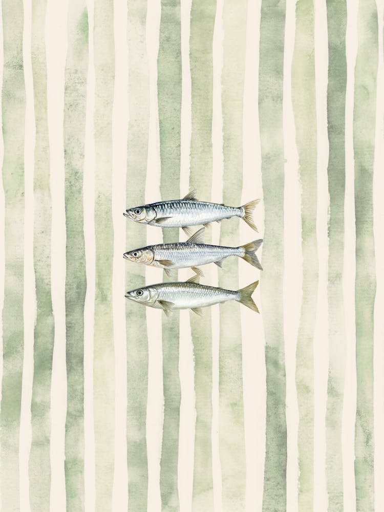 Sage Green Watercolor Sardines Print Kitchen Wall Art Fish Decor
