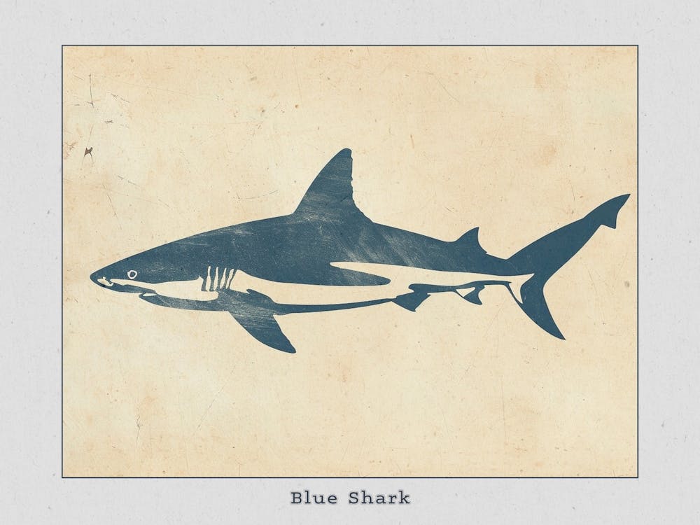 Blue Shark Grey Silhouette 6 Poster