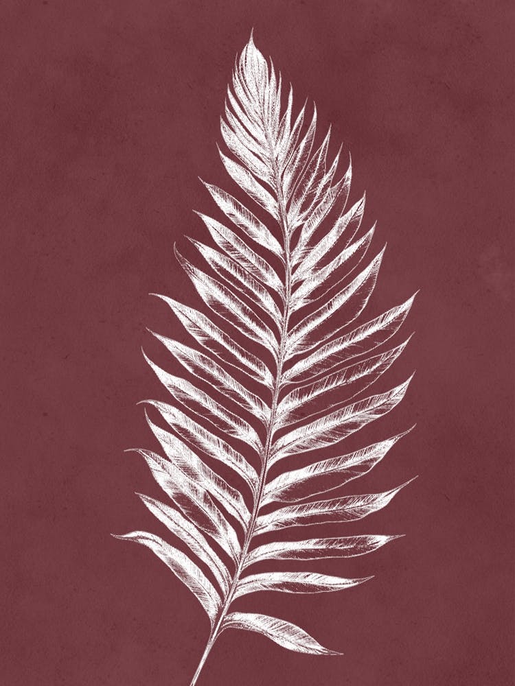Fern Leaf Print 1