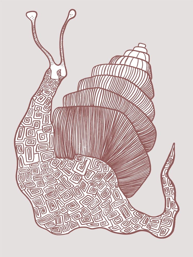 Snail