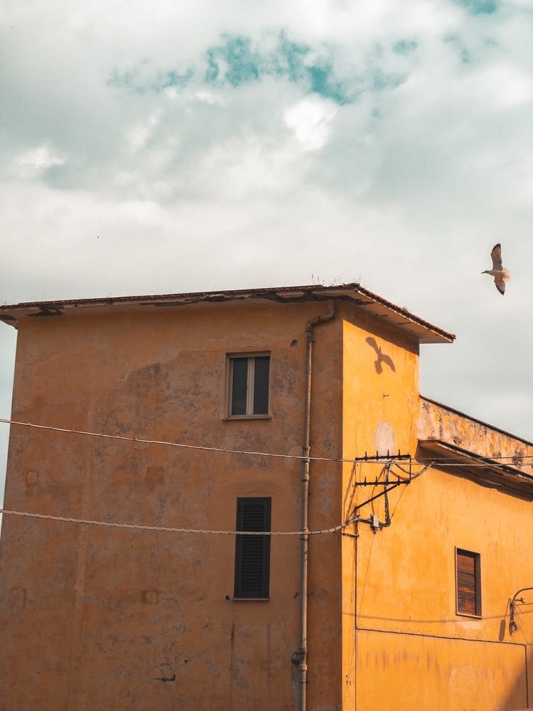 Eagle Flying Over A Building