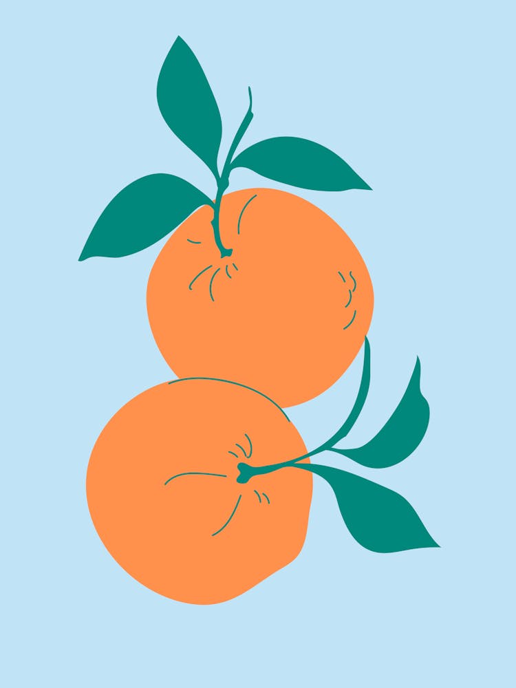 Oranges Colorful Fruit Print