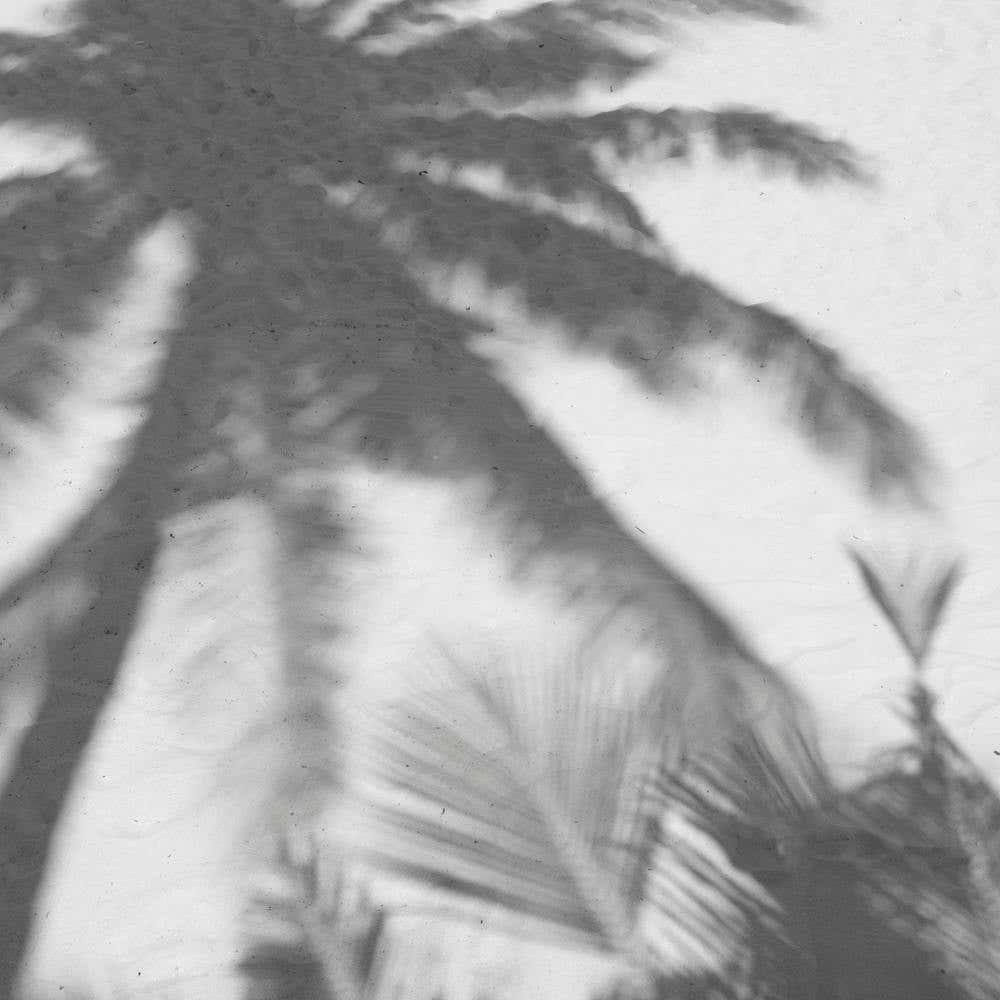 Palms On The Beach Square