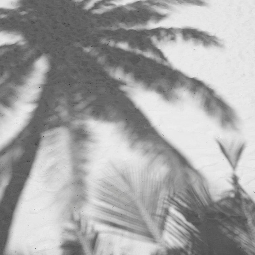 Palms On The Beach Square