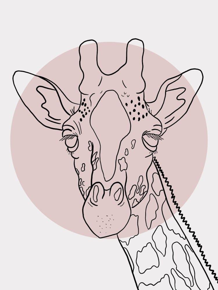 Giraffe minimalist line drawing