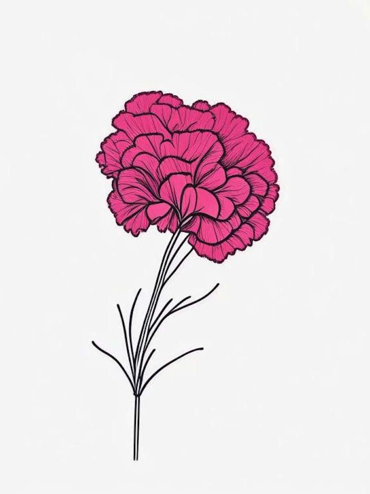 Carnation Floral Minimal Line Drawing 1 Flower